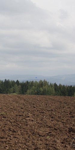 2013 Svojek Mirek Topinka